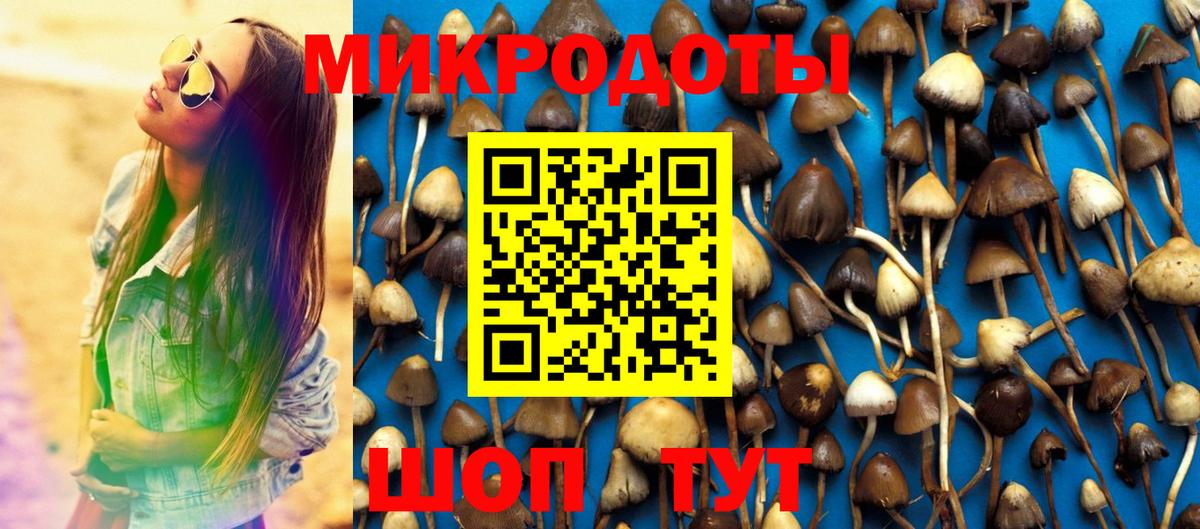 Галлюциногенные грибы Cubensis  Вход с VPN  Саянск 